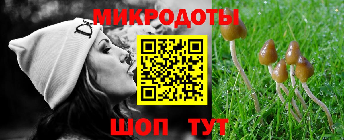 Псилоцибиновые грибы Psilocybine cubensis  Псилоцибиновые грибы GOLDEN TEACHER  Дмитров  Вход с VPN 